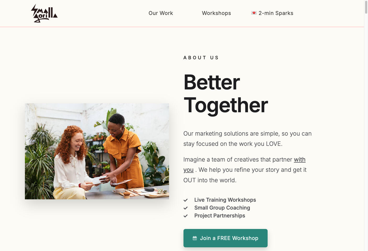 Small Gorilla Creative Web Design, Copywriting, Brand Development, Video Production